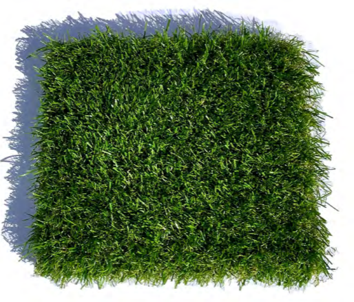 GoldenLawns® KN 52 W+C-Shape
