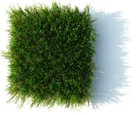 GoldenLawns® SU 50 C-Shape